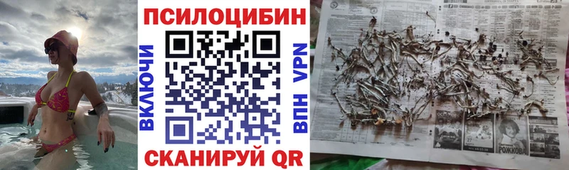 купить наркотики сайты  дарк нет формула  Псилоцибиновые грибы мицелий  Смоленск 