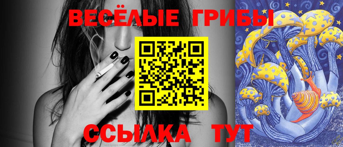 купить закладку  Псилоцибиновые грибы Psilocybe  Галлюциногенные грибы мухоморы  Вход с VPN  Смоленск 
