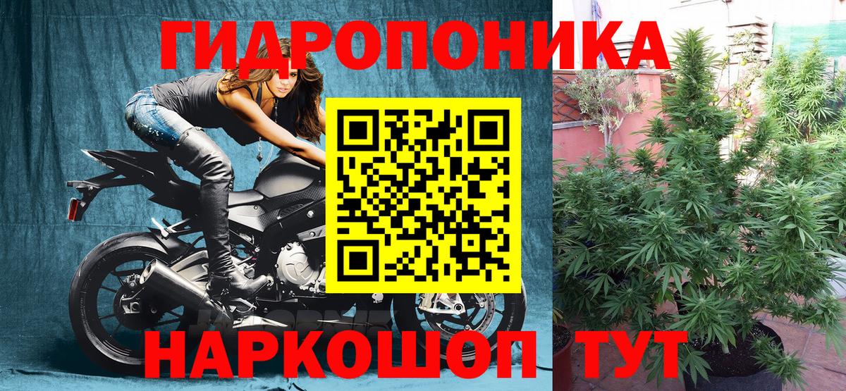 Конопля Ganja Смоленск